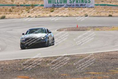 media/Oct-25-2025-West Coast Racing (Sat) [[9fdcbcd09c]]/Blue group/Turn 4/